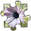 air.FlowersJigsawPuzzle
