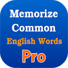 air.MemorizeCommonEnglishWordsPro