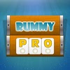 air.com.lalaplay.rummypro