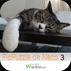 air.com.wiquitous.PicpuzzleDeNeco3