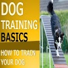 appinventor.ai_azam434khan.Dogtrainingbasics