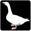 appinventor.ai_metaphonic.Ducksgeese
