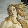 botticelli.msap.com
