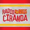 br.com.mobradio.radiocirandafm