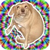 com.FastDevStudio.NarcoticDog