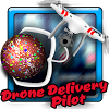 com.ValkA.DroneDelivery