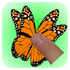 com.alpha.touchbutterfly