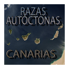 com.berkinalex.razasautoctonascanarias