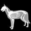 com.biosphera.catanatomy