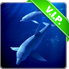 com.bluedolphinspaidgoimbh.app