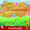 com.braintonik.blossom