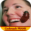 com.cockroach_prank.Cockroach_prank