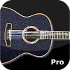 com.code2care.analogguitartunerpro