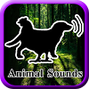com.daily.animalsound