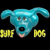 com.examp_derived.android.surfdog