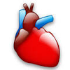 com.ezzat_cardiology_advisor