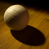com.fudgeware.volleyball