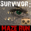 com.gamesmoby.survivormazerun