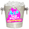 com.gametion.alsicebucketchallenge
