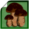 com.headcorp.bookofmushroomsnoads