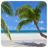 com.icon.livewall.plus.beach