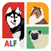 com.icontrivia.GuessTheDogs