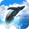 com.iprope.whalefree