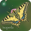 com.isoperla.butterflyid