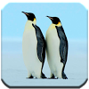 com.klogicapps.animalpenguingallery.wallpaper1