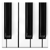 com.km.instruments.piano