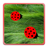 com.koldev.lwp.ladybugs