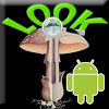 com.look2all.mushroomslook