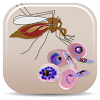 com.lucidcentral.mobile.malaria_vectors