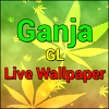 com.maymar.gllivewallpaper.ganja