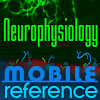com.mobilereference.neurophysiology