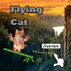 com.mvltr.flyingcat