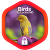 com.nature.yolocker.birds.screen.theme.locker
