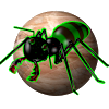 com.nenoff.ants