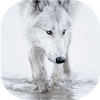 com.neygavets.livewallpaper.wolfs