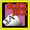 com.november31.video_blackjack