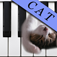 com.objectgraph.catpiano