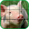 com.playingames91.kidsfarmpuzzlesfree