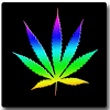 com.putworld.multicolor_marijuana_lwp