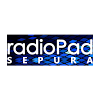 com.safemobile.radiopad_sepura