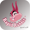 com.seedecor.rapid.rabbit