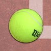 com.speedymarks.android.tennis