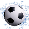 com.sri.theme.soccer