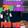 com.vetstudio.gangstarcubepro
