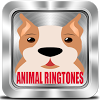 com.worldapss.animalringtones