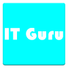 com.wthurner.itguru